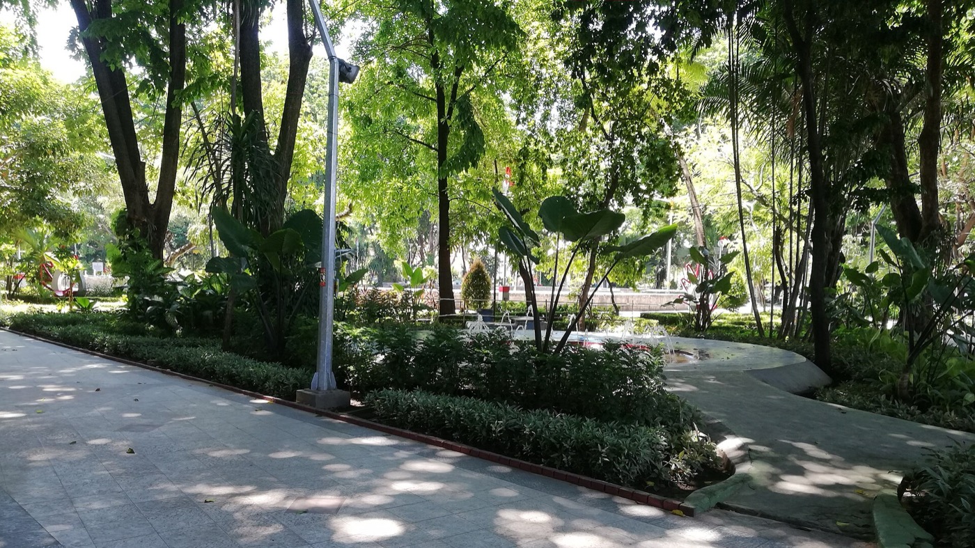 Taman Bungkul di pagi hari dengan pepohonan dan bangku.